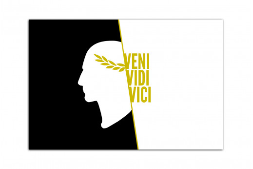 Постер Veni Vidi Vici 